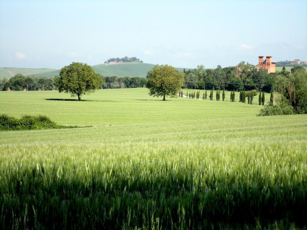 Gasthaus Castello Di San Fabiano Monteroni dʼArbia Exterior foto